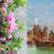 Concursos de Montras e Varandas