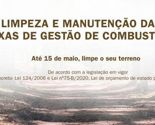 Artigo Site
