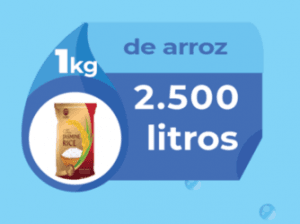 Arroz