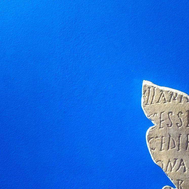 Artboard Museus Web 01 Artboard Museus Web 01