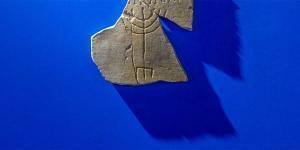 Artboard Museus Web 02