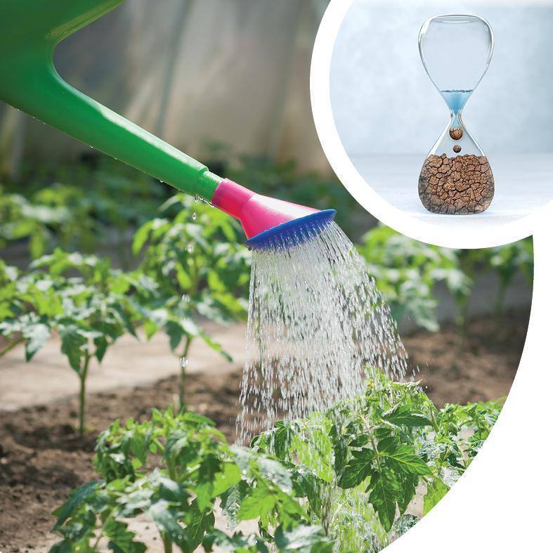 Imagem Redes Seca 2022 Municipios15