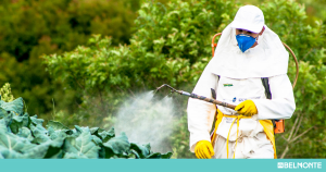 Aplicação De Produtos Fitofarmaceuticos