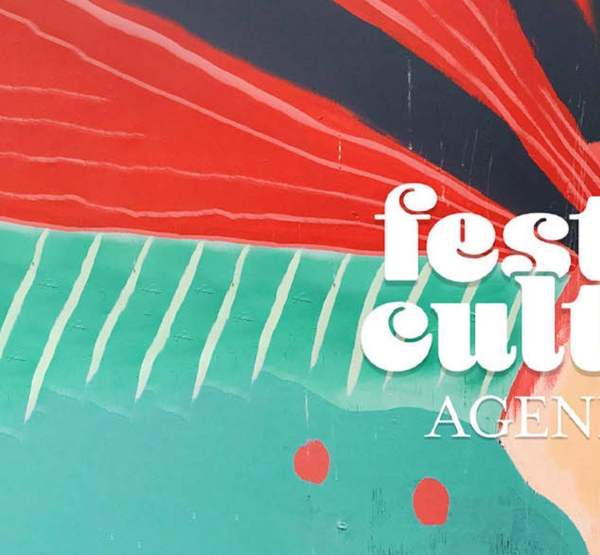 Festival Cultural 01