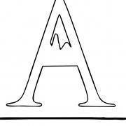 247060915 272254501394681 6631952659842713344 N