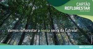 Partilha Facebook Cartão Reflorestar