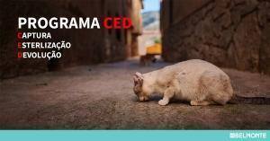 Programa Ced Partilha Facebook