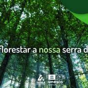 Reflorestar Noticia Reflorestar Noticia