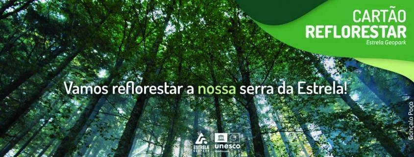 Reflorestar Noticia