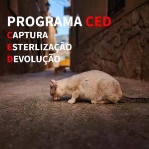 Mobile Ced