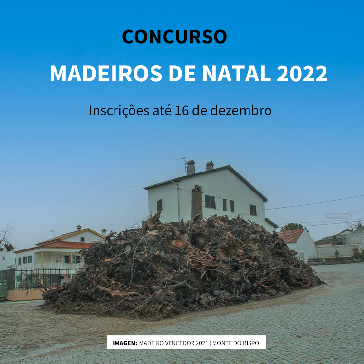 Header Mobile Madeiros De Natal 2022