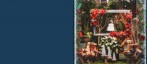 Slider Concurso De Montras De Natal 2022