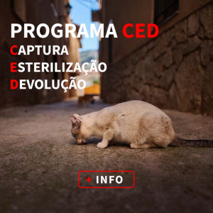 Slider Mobile Ced