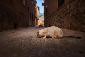 Angel Santos Fmrfpodring Unsplash