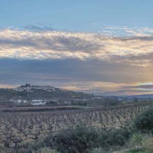 Desagregação Da União De Freguesias De Belmonte E Colmeal Da Torre Em Unidades Territoriais Autónomas Aprovada Por Unanimidade Em Reunião Do Executivo