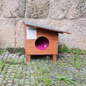 Colonias Programa Ced