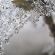 Tamanho Artigo Site (4)