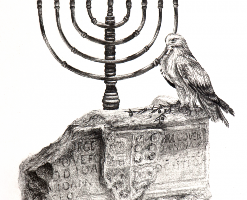 6. Martim Borralhinho Copy