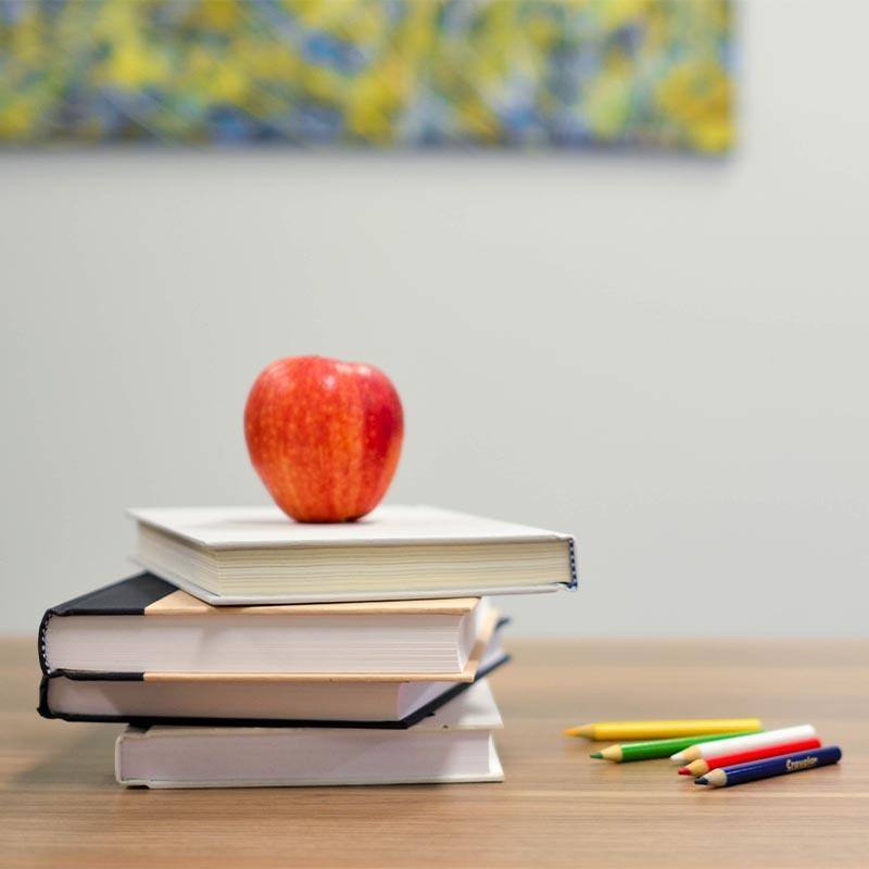 Header Mobile Educação