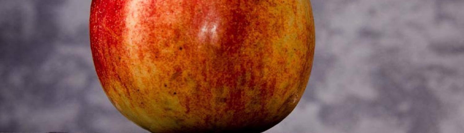 Header Mobile Educação