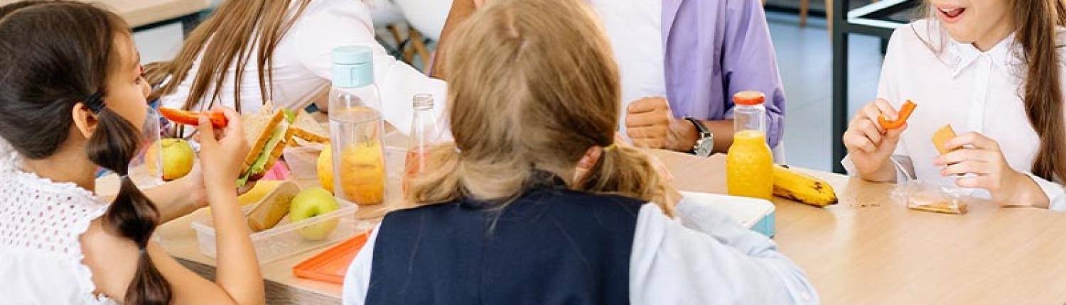 Header Mobile Educação New