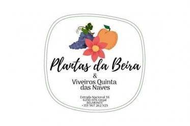 Plantas Da Beira