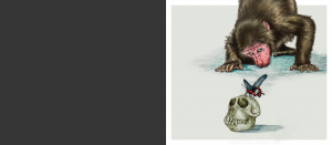 Exposição Imagens Natureza 2023 Slider