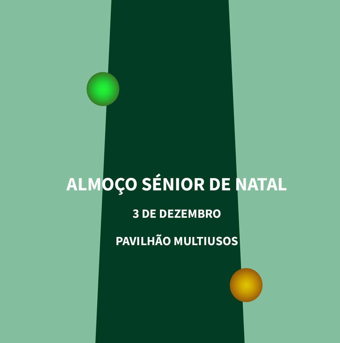Arvore De Natal 05