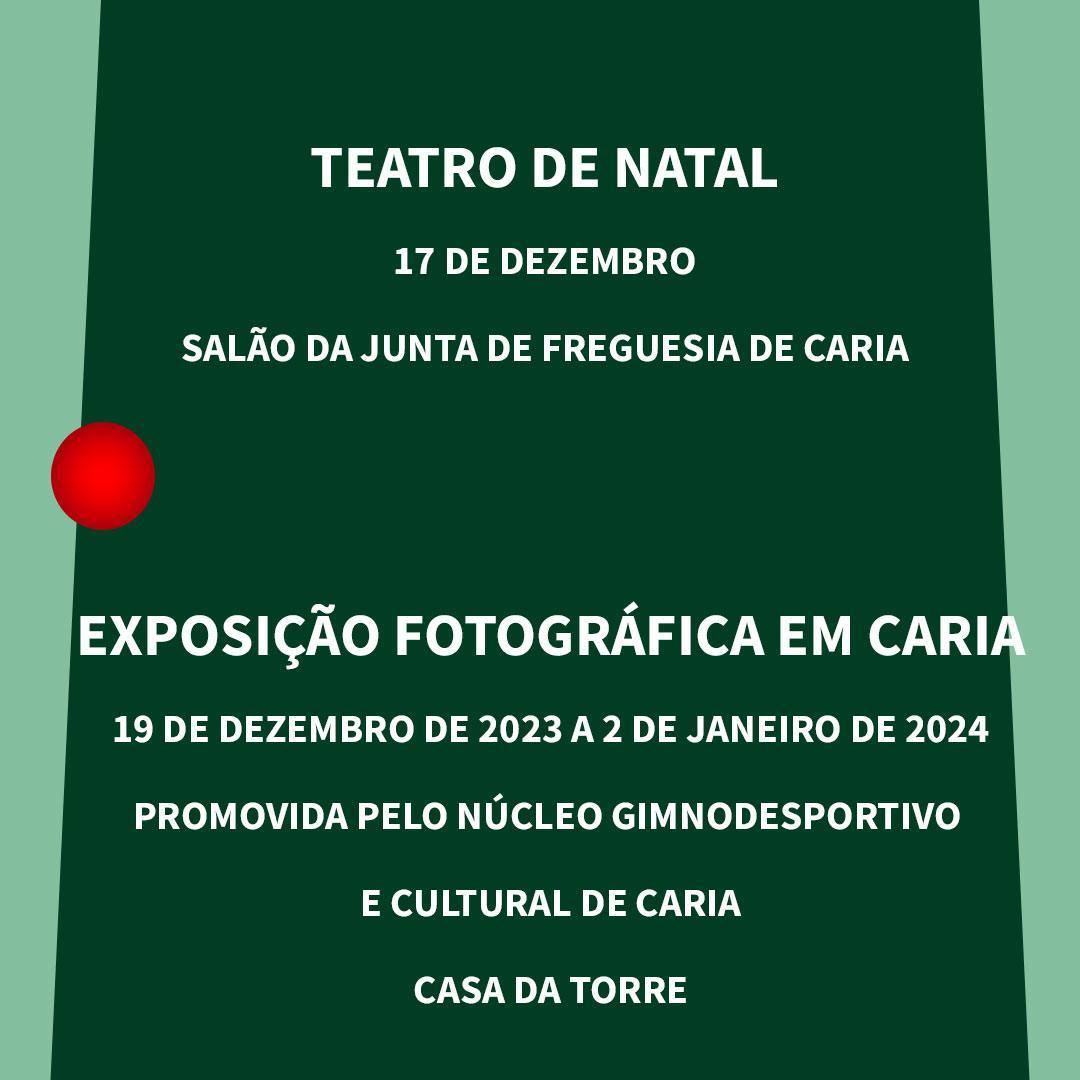 Arvore De Natal 10