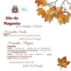 Magusto Junta Freguesia De Caria Mobile