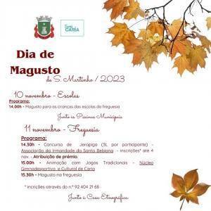 Magusto Junta De Caria Desktop