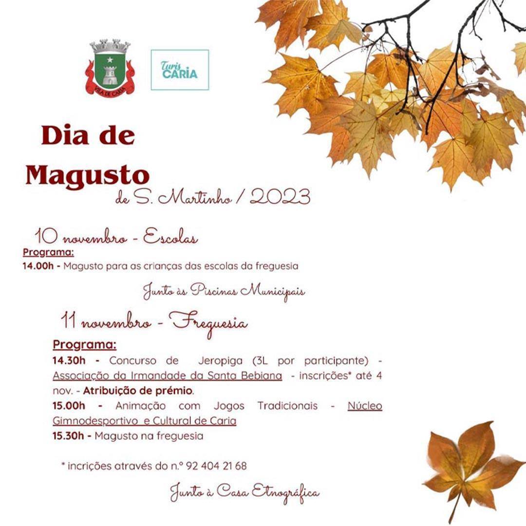 Magusto Junta De Caria Desktop