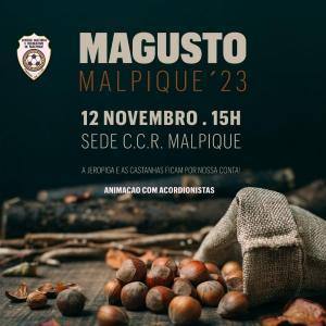 Magusto Malpique Desktop