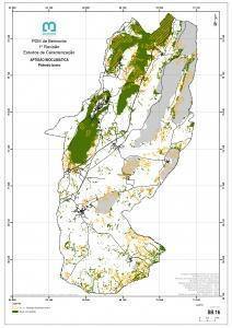 Sb.16 Aptidãopinheiro Bravo