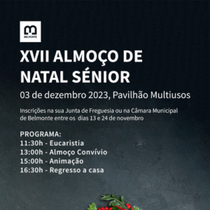 Artigo Site Municipal