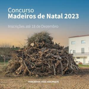 Concurso Madeiros De Natal 2023 CalendÁrio