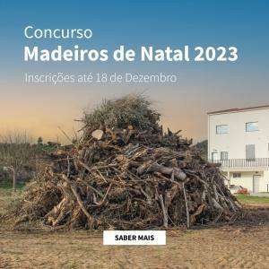 Concurso Madeiros De Natal 2023 Slider Mobile