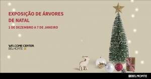 ExposiÇÃo Arvaores De Natal Partilha Facebook