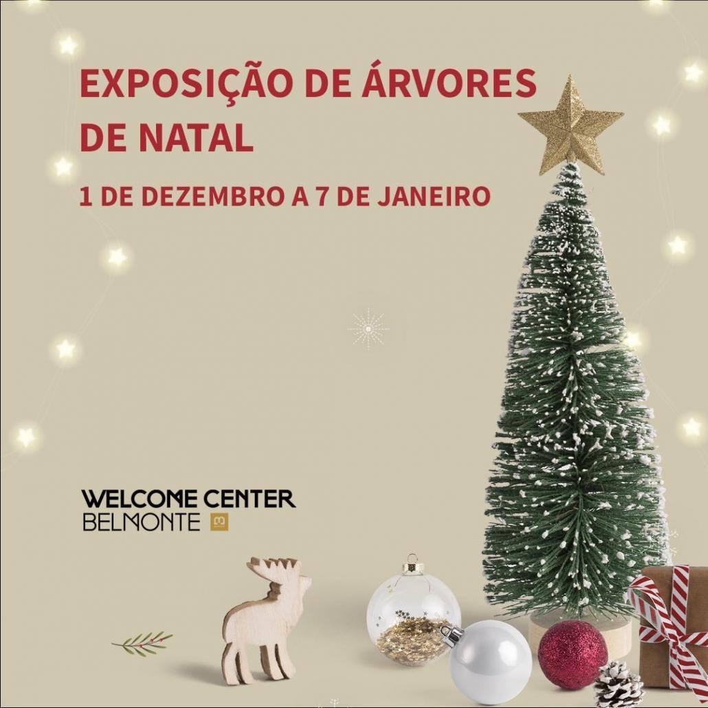 Exposição De Árvores De Natal