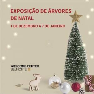 Exposição De Árvores De Natal