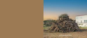 Concurso Madeiros De Natal 2023 Slider