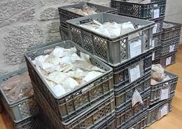 Espólio Arqueológico Centum Cellas