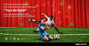 Partilha Facebook TaÇa De Natal Santa Casa