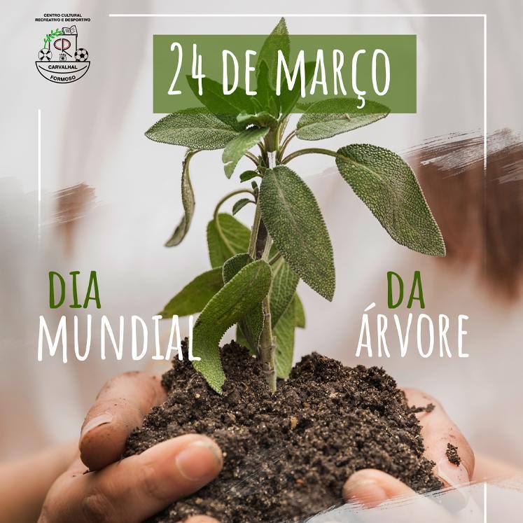 Comemorações Dia Munical Da Árvore Cecurde