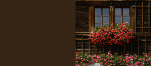 Concurso Varandas, Janelas E Portas Floridas 2024 Slider