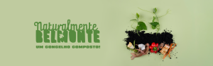 Um Concelho Composto Header