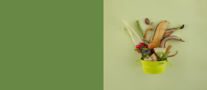 Um Concelho Composto Slider