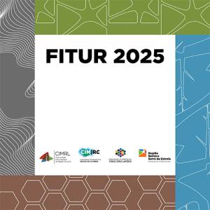 Fitur 2025