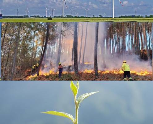 Plano Municipal De Ação Climática De Belmonte