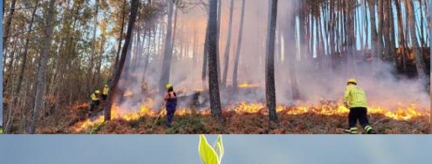 Plano Municipal De Ação Climática De Belmonte
